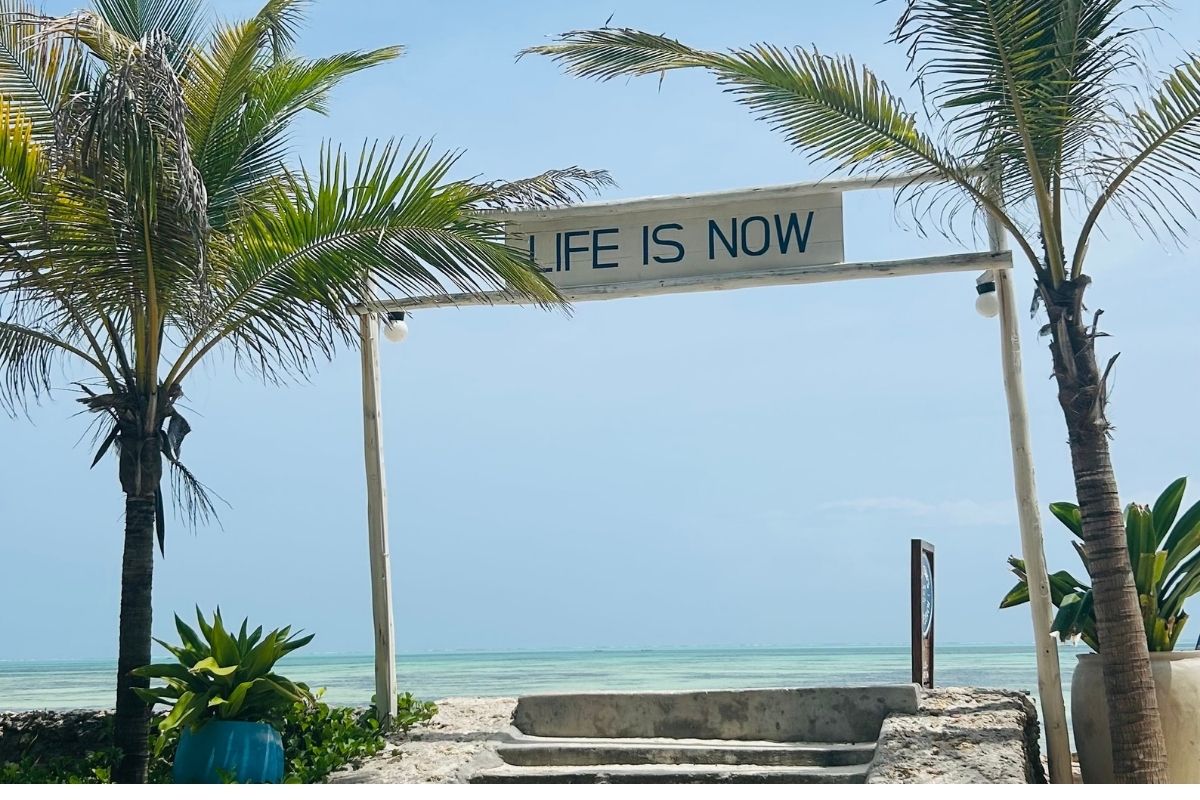 Life is Now sign between palm trees overlooking turquoise Zanzibar ocean